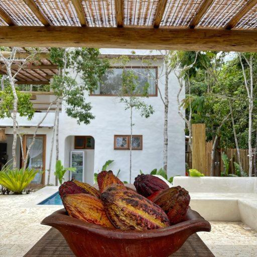 Villa Alba - Trancoso Esterno foto